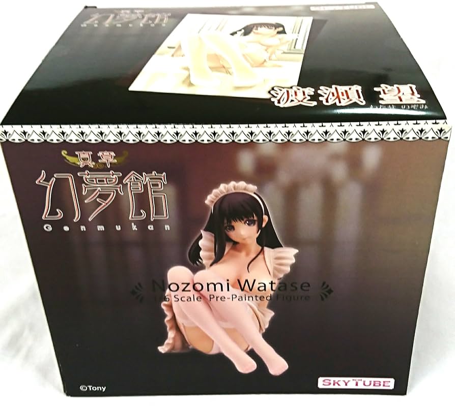 Amazon.com: T2 Art Girls Shinsho Mugenkan Watase Nozomi 1/6